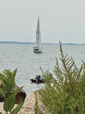 Mattapoisett
Photo by Jennifer Shepley
