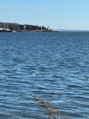 Mattapoisett
Photo by Jennifer Shepley
