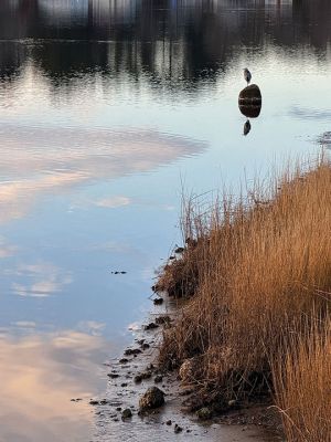 Mattapoisett
Photo by Jennifer Shepley
