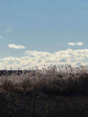 Mattapoisett
Photo by Jennifer Shepley
