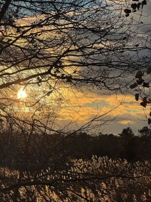 Mattapoisett
Photo by Jennifer Shepley
