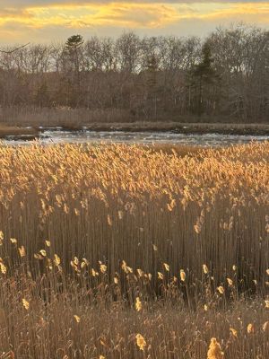 Mattapoisett
Photo by Jennifer Shepley
