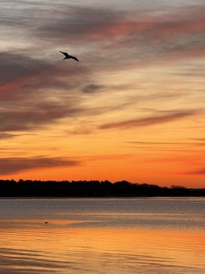 Mattapoisett
Photo by Jennifer Shepley
