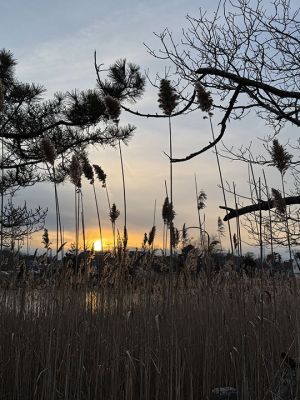 Mattapoisett
Photo by Jennifer Shepley
