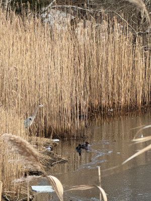 Mattapoisett
Photo by Jennifer Shepley
