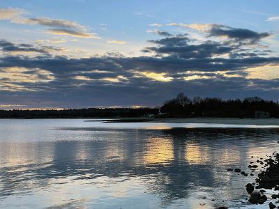 Munro Preserve
Late day reflections at Munro Preserve by Jen Shepley.
