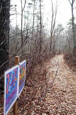 The Sun Is So Quiet
A quiet moment on Sunday in Peirson Woods off Point Road, where Tri-Town Against Racism has partnered with the Sippican Lands Trust in a Story Walk titled “The Sun Is So Quiet” by highly decorated black American author Nikki Giovanni. In celebration of Black History Month, TTAR is organizing story walks with the local land trusts in Marion, Mattapoisett and Rochester. Photo by Mick Colageo
