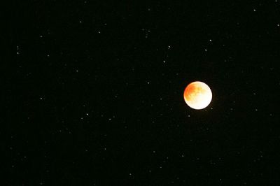 Supermoon Eclipse
A blood red Harvest Moon hangs above Ned’s Point in Mattapoisett where some people had a stellar view of the rare celestial event of a total lunar eclipse of a supermoon. Dozens came to watch the moon on Sunday night as it passed through the Earth’s shadow between 9:07 pm, when the partial eclipse began, and 12:27 am when the spectacle ended. Photo by Colin Veitch
