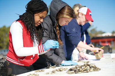 Tabor Academy’s Oyster Farm
Tabor Academy’s oyster farm is like a marine biology lab by the sea, providing students with hands-on learning experience. The school hosts a summer camp where campers can explore oyster farming firsthand, compiling “oyster reefs,” large piles of oysters, and depositing them into salt water. Here, David Bill of the Nautical Science Department at Tabor inspects an oyster bag from his skiff Ting. Photo courtesy Tabor Academy
