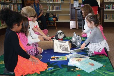 Breton
Lenore Everett and her therapy dog Breton read stories at the Mattapoisett Public Library on Saturdays twice per month. Breton loves the interaction with the children who, even those timid around dogs, respond to Breton’s gentle nature. Photo by Marilou Newell
