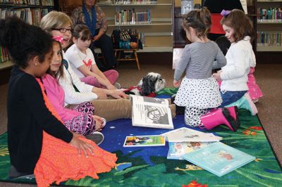 Breton
Lenore Everett and her therapy dog Breton read stories at the Mattapoisett Public Library on Saturdays twice per month. Breton loves the interaction with the children who, even those timid around dogs, respond to Breton’s gentle nature. Photo by Marilou Newell
