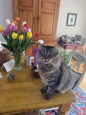 Laramie
Laramie is proud to give his mom Mother’s Day flowers in Marion. Photo by Carol Rhoads
