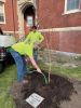 ArborDay_Tree-1.jpg