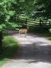 FB_nature_Curry-Woodland.jpg