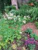 Garden_3220.jpg