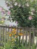 JenShepley_5071.jpg