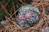 KindnessRocks_0490.jpg