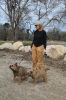 MLT-Dog-Walk-050125-Mick-1960.jpg