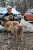 MLT-Dog-Walk-050125-Mick-2009.jpg