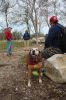 MLT-Dog-Walk-050125-Mick-2037.jpg