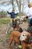 MLT-Dog-Walk-050125-Mick-2056.jpg