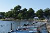MTpicnic_Boats-28cover-29.jpg
