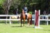 MarionHorseShow_7602.jpg