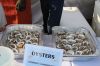 Munro-Picnic-081023-Oysters.jpg