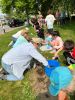 Planting_3185.jpg