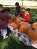 Pumpkin-Palooza-110322-Marilou.jpg