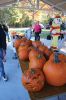 Pumpkin-Palooza-110322-Mick-14_30_32.jpg