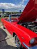 Filename=ROcarShow_3110.jpg
Filesize=127KiB
Dimensions=540x720
Date added=May 14, 2025 ROcarShow_3110.jpg