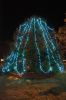 Rochester-Tree-Lighting-10.jpg