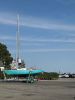 Filename=Shepley_4871.jpg
Filesize=64KiB
Dimensions=540x720
Date added=Aug 07, 2025 Shepley_4871.jpg
