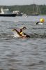 Triathlon_7890.jpg