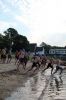 Triathlon_7904.jpg