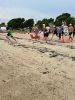 Triathlon_Pina_3108.jpg