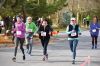 TurkeyTrot_1552.jpg