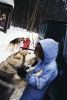 Iditarod_MR-1.jpg